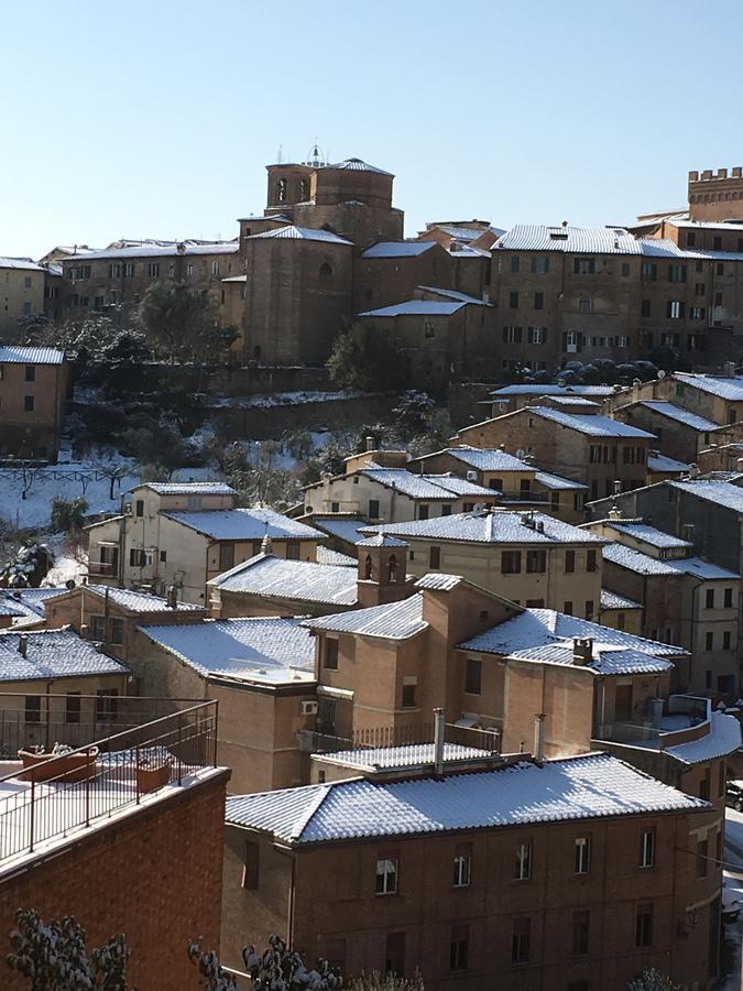 B&B Le Lupe Siena Dış mekan fotoğraf