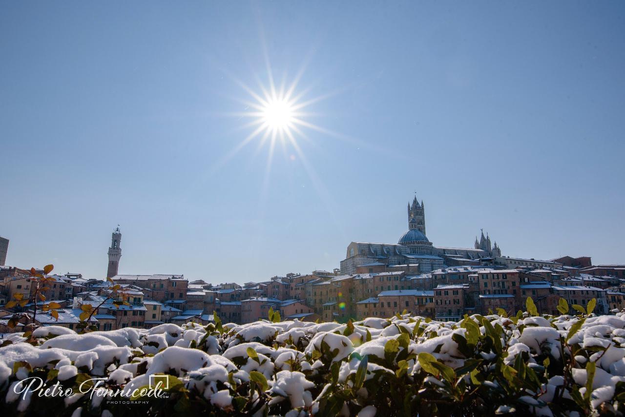B&B Le Lupe Siena Dış mekan fotoğraf